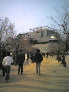 matsuyamajou.jpg