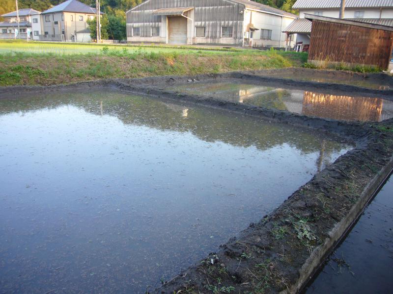 taue_02.jpg