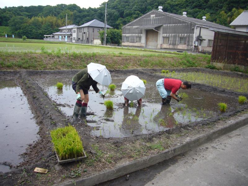 taue_03.jpg